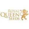 Royal Queen Seeds
