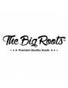 The Big Roots