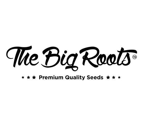 The Big Roots